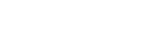 Magnesium Innovation Group - Lighter World